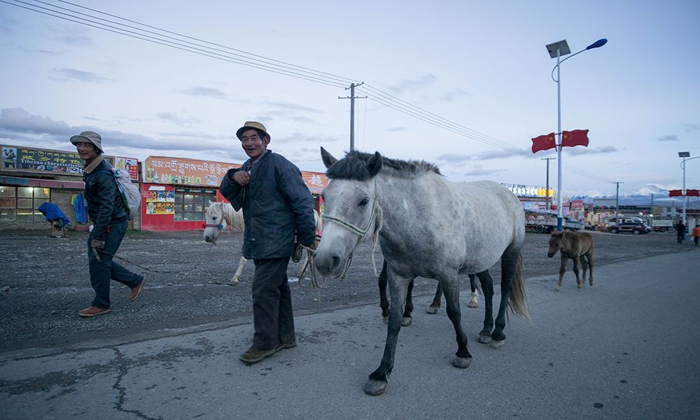 reservations in advance for horses